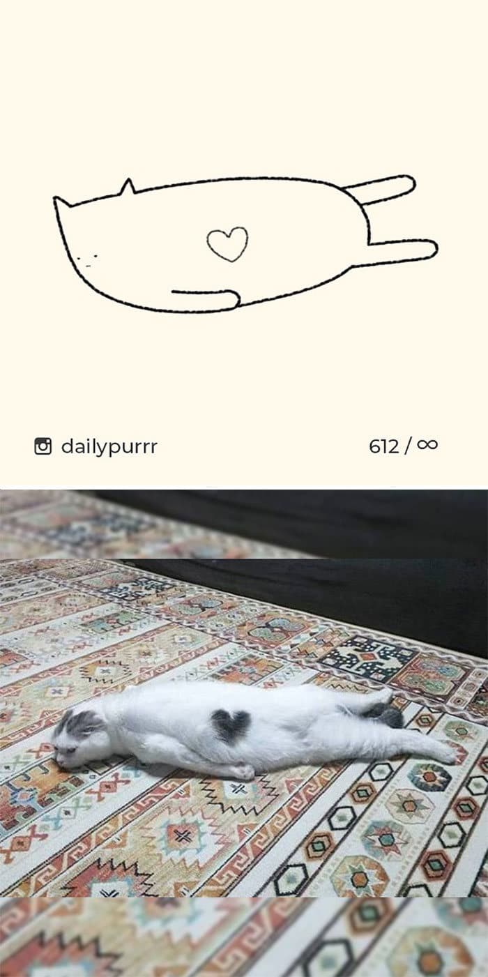 Aqui estão meus 40 novos desenhos de gatos bobos para fazer você rir 2