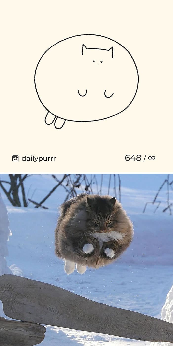 Aqui estão meus 40 novos desenhos de gatos bobos para fazer você rir 5