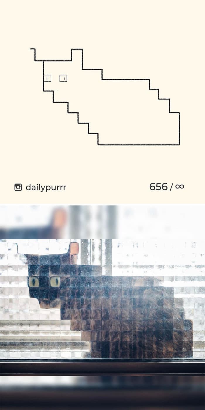 Aqui estão meus 40 novos desenhos de gatos bobos para fazer você rir 10