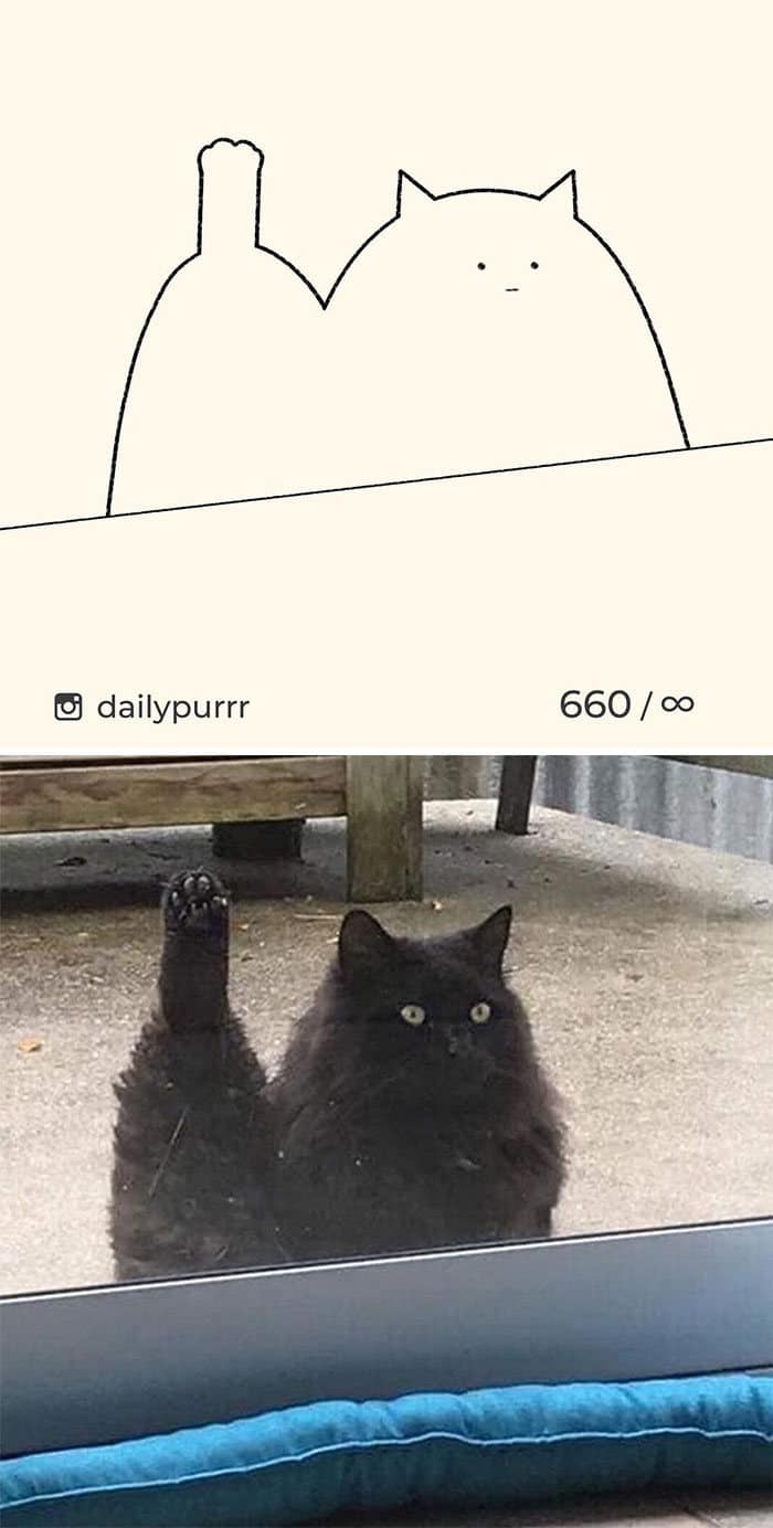 Aqui estão meus 40 novos desenhos de gatos bobos para fazer você rir 11