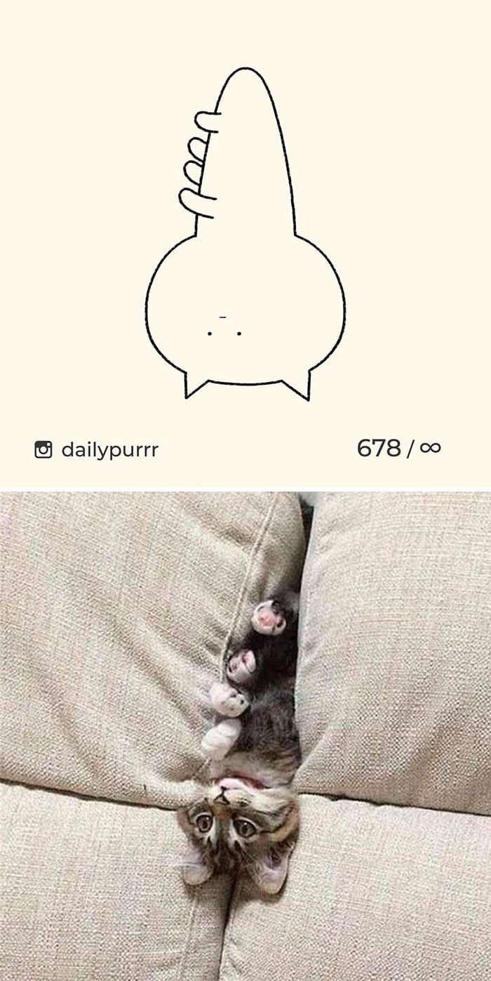 Aqui estão meus 40 novos desenhos de gatos bobos para fazer você rir 14
