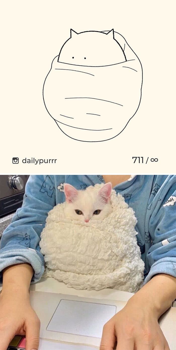 Aqui estão meus 40 novos desenhos de gatos bobos para fazer você rir 18