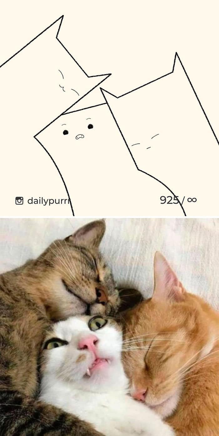 Aqui estão meus 40 novos desenhos de gatos bobos para fazer você rir 22
