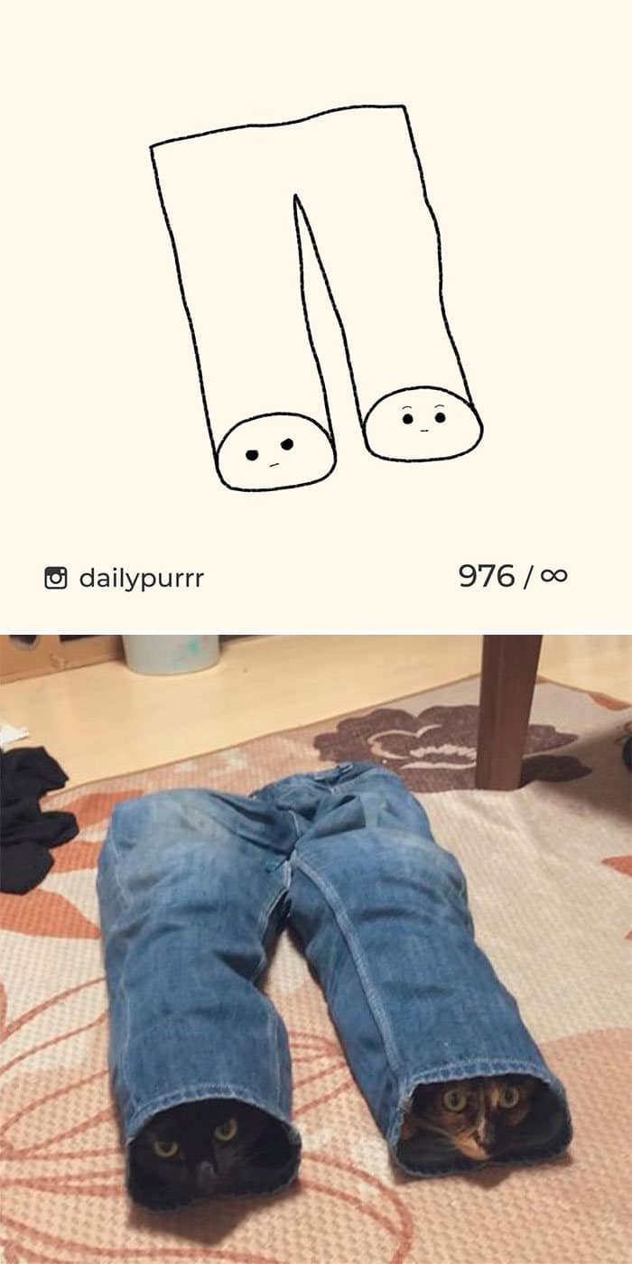 Aqui estão meus 40 novos desenhos de gatos bobos para fazer você rir 24