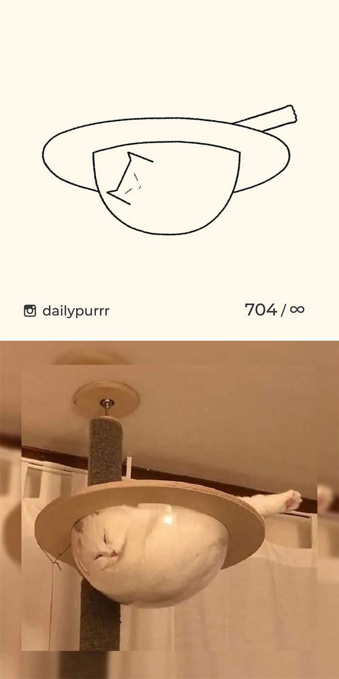 Aqui estão meus 40 novos desenhos de gatos bobos para fazer você rir 25