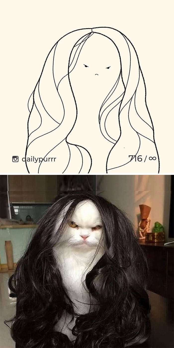 Aqui estão meus 40 novos desenhos de gatos bobos para fazer você rir 29