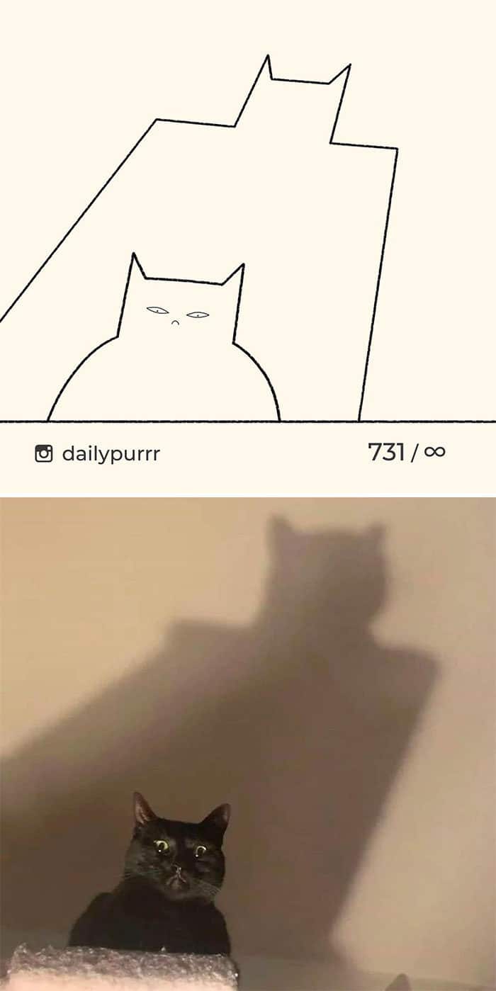 Aqui estão meus 40 novos desenhos de gatos bobos para fazer você rir 34