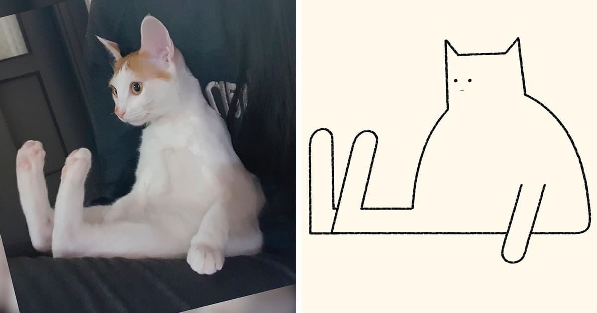 Aqui estão meus 40 novos desenhos de gatos bobos para fazer você rir
