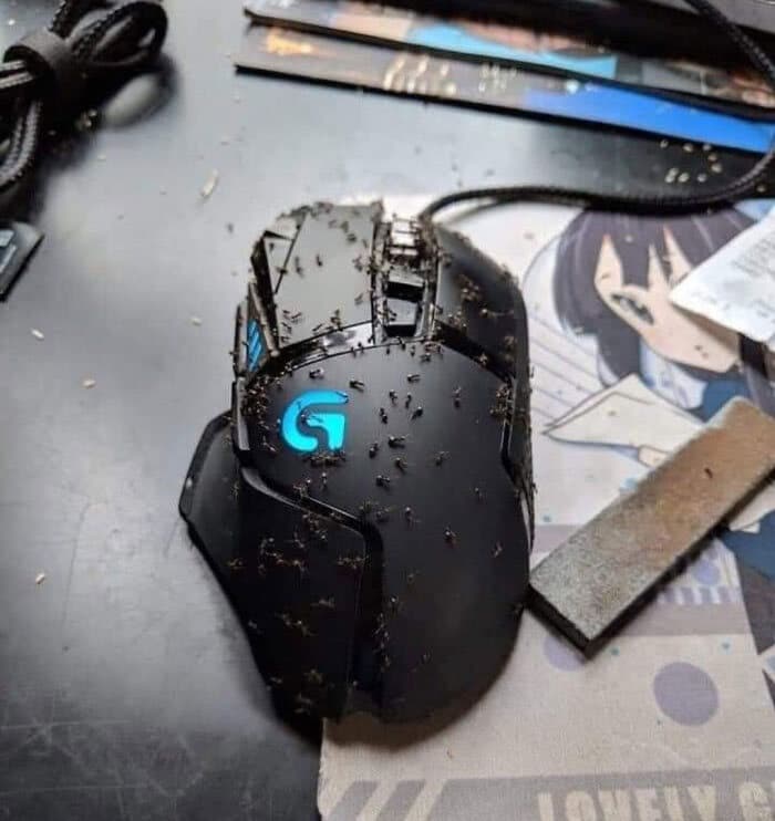 As pessoas do suporte técnico estão compartilhando os piores casos que viram durante o trabalho 2