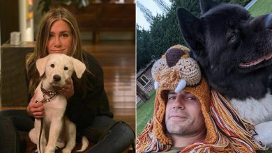 38 celebridades que são verdadeiros amantes de cães 9