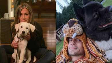 38 celebridades que são verdadeiros amantes de cães 25