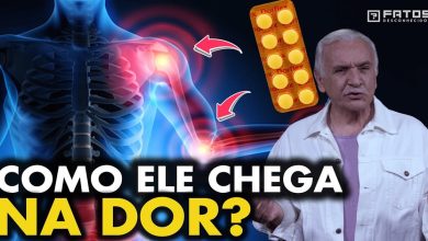 Como o medicamento sabe onde está a dor no nosso corpo? 1