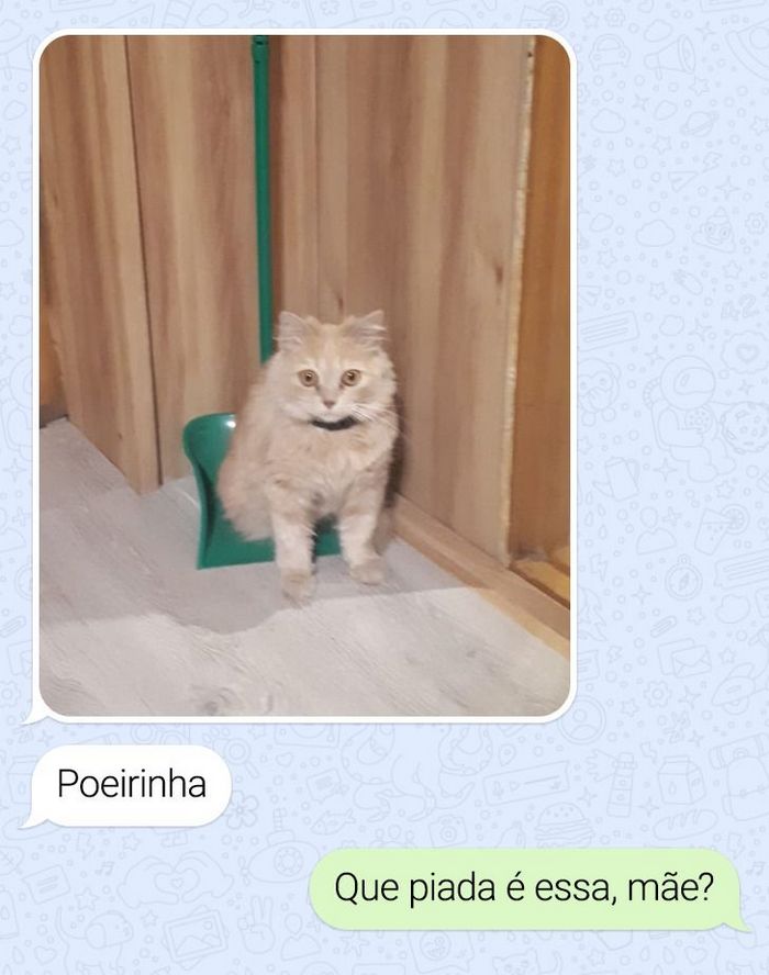 14 conversas em que a ironia foi a grande vencedora 2