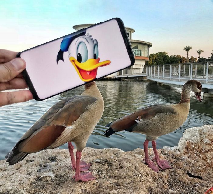 Dou vida a objetos do dia-a-dia com meu celular e sem Photoshop 21