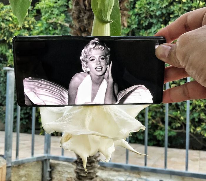 Dou vida a objetos do dia-a-dia com meu celular e sem Photoshop 38