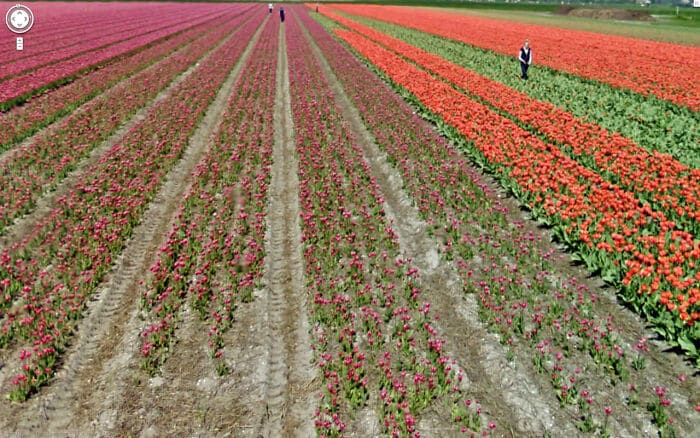 56 fotos engraçadas e interessante do Google Street View 8