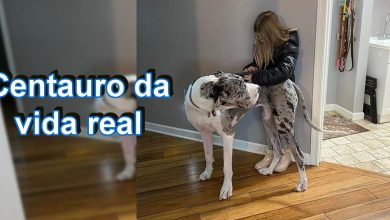 18 fotos que irão bagunçar a sua mente 28