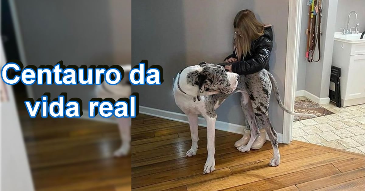 18 fotos que irão bagunçar a sua mente