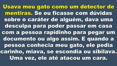 16 histórias sobre animais de estimação e suas peculiaridades 5