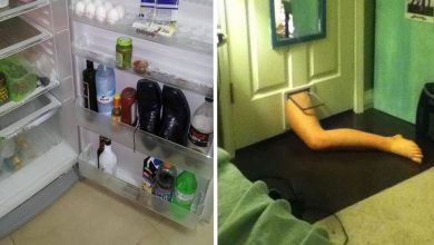 16 motivos estranhos que farão você pensar bem antes de se embriagar 7