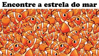 Teste visual: encontrando os estranhos ocultos nestas 20 fotos 5