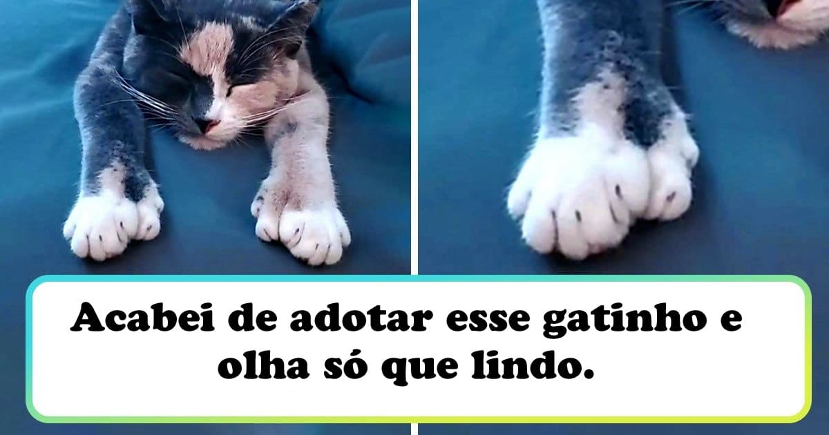 20 vezes a mãe natureza abençoou as coisas com um pouco mais de charme