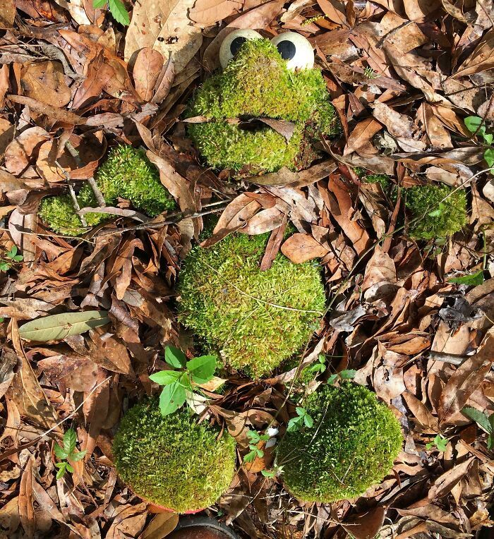 42 vezes que a natureza venceu a batalha contra a civilização 2