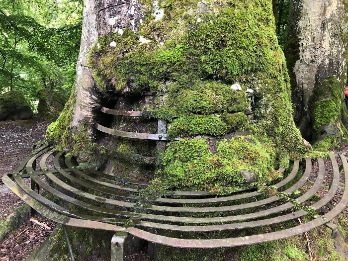 42 vezes que a natureza venceu a batalha contra a civilização 8