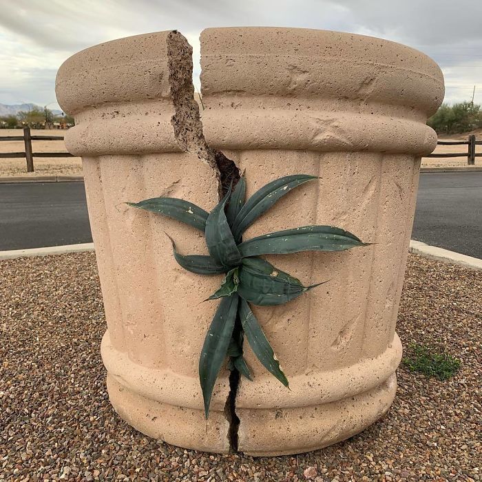 42 vezes que a natureza venceu a batalha contra a civilização 14