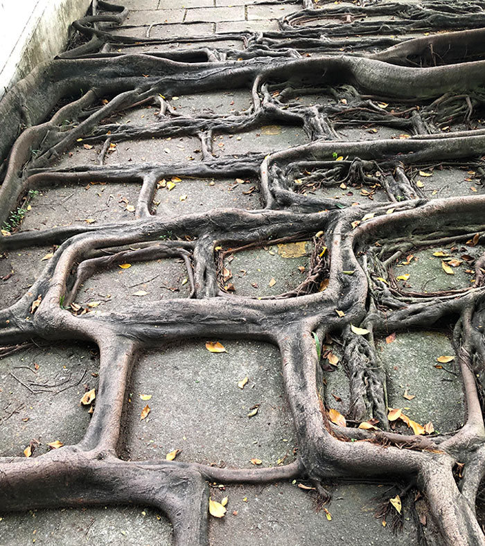 42 vezes que a natureza venceu a batalha contra a civilização 18