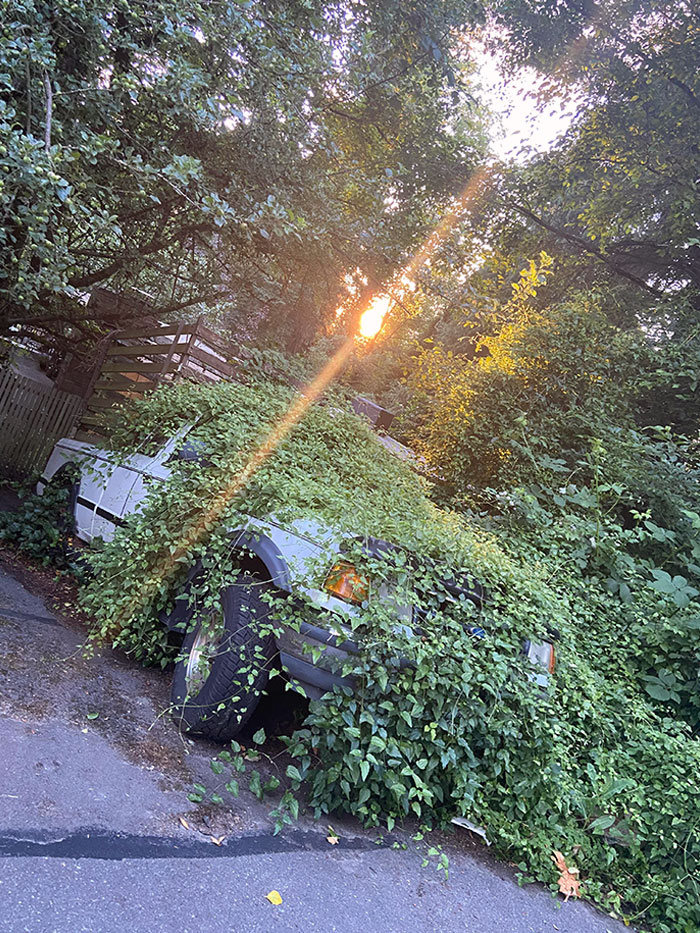 42 vezes que a natureza venceu a batalha contra a civilização 34