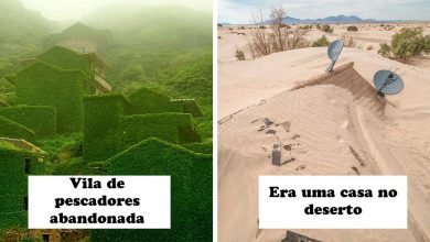 42 vezes que a natureza venceu a batalha contra a civilização 5