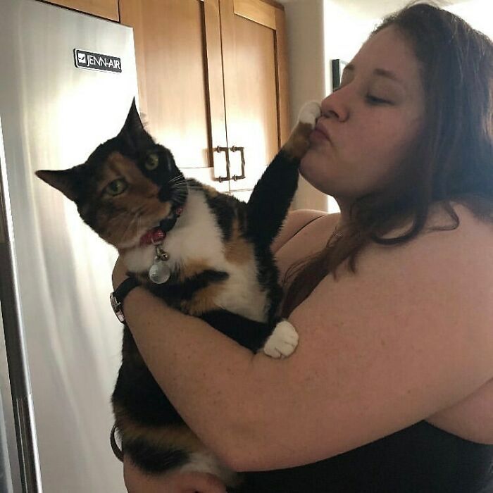 38 vezes que gatos disse um Não para o abraço 13