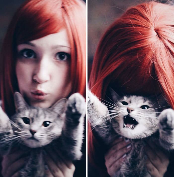 38 vezes que gatos disse um Não para o abraço 16