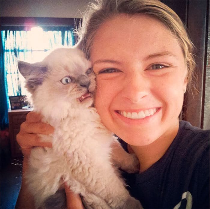 38 vezes que gatos disse um Não para o abraço 18