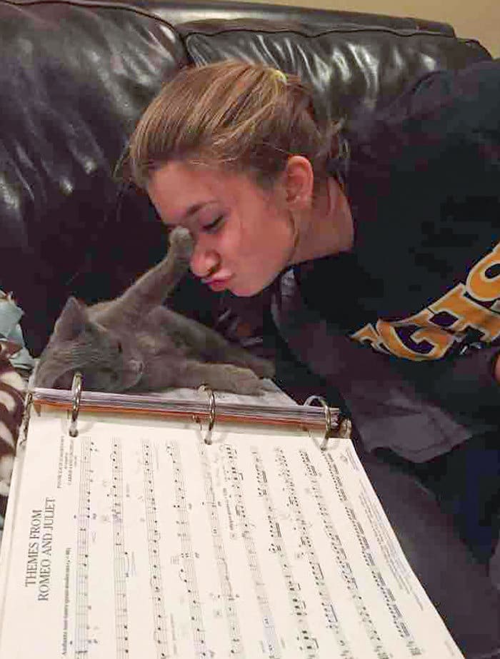 38 vezes que gatos disse um Não para o abraço 21