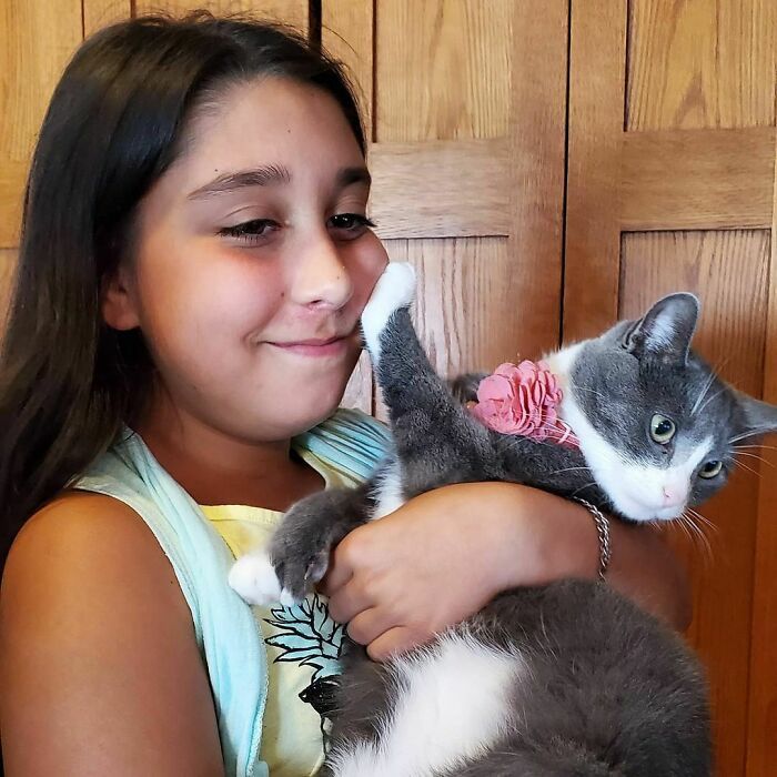 38 vezes que gatos disse um Não para o abraço 34