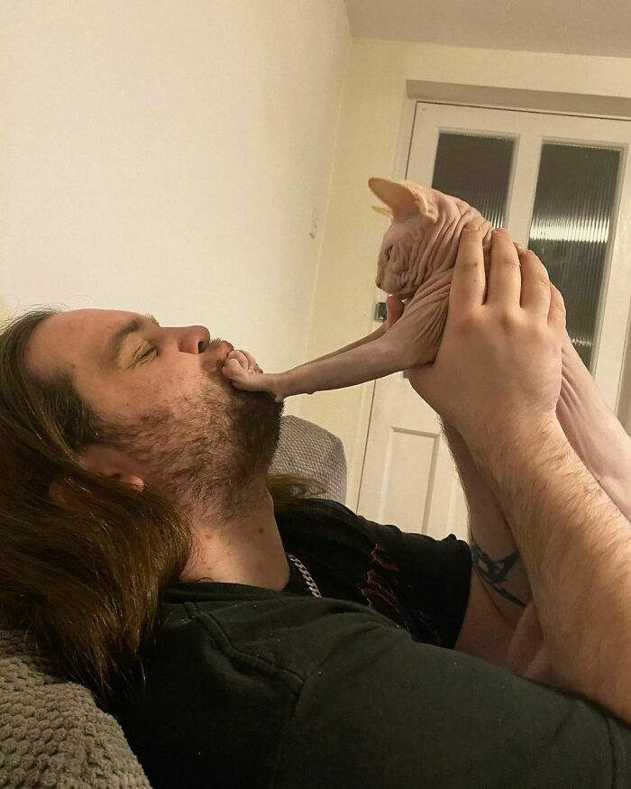 38 vezes que gatos disse um Não para o abraço 36