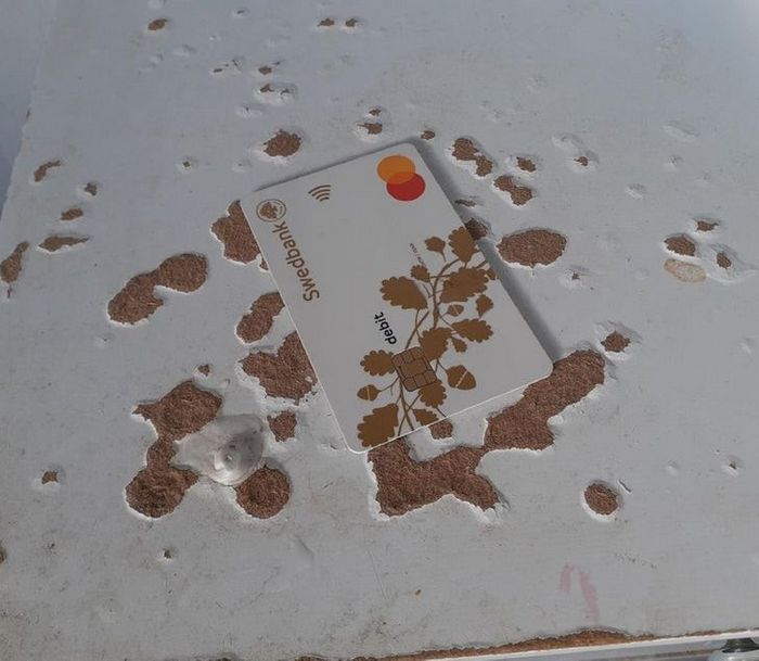 17 exemplos de camuflagem perfeita que farão qualquer ninja ficar com inveja 4