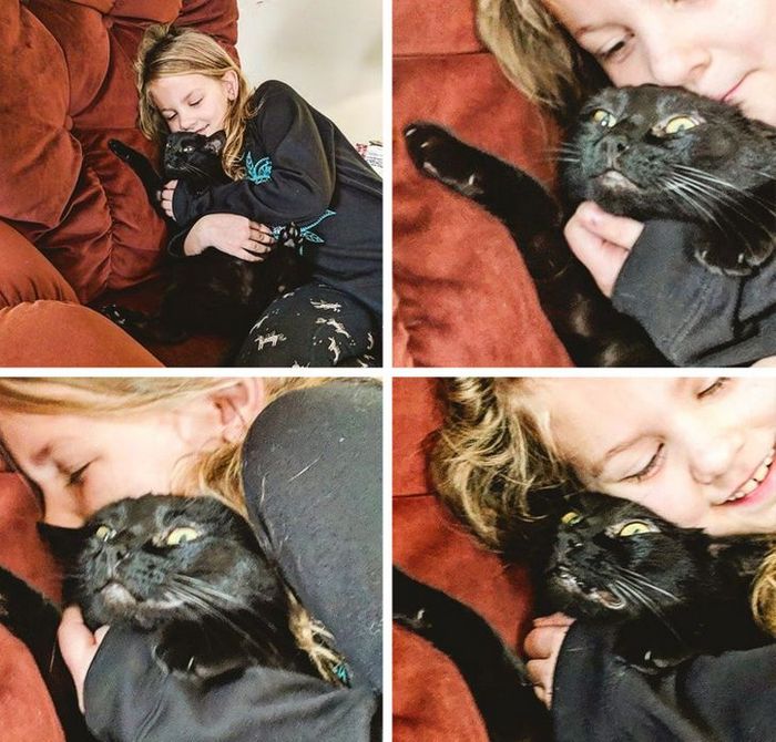 23 gatinhos sinceros que não esconder suas emoções 6