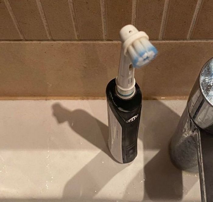 24 fotos que você precisa ver duas vezes para entender 11