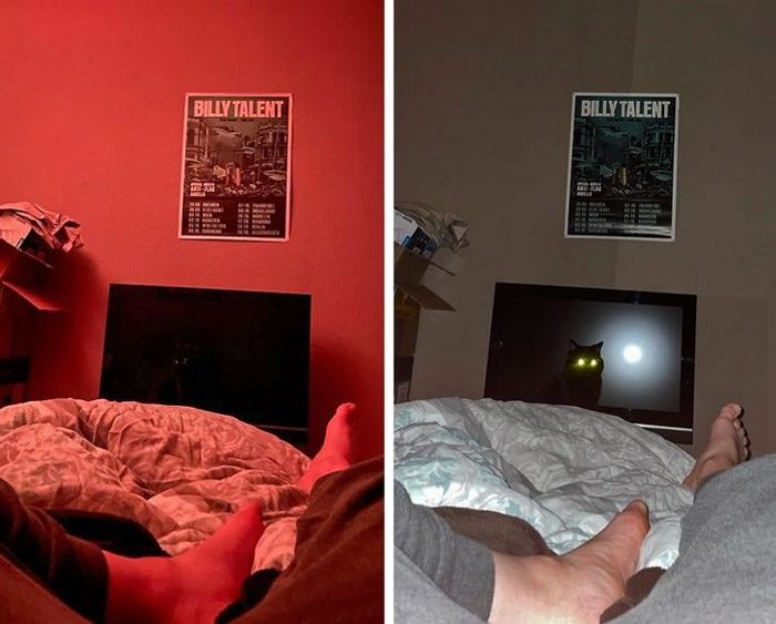 17 exemplos de camuflagem perfeita que farão qualquer ninja ficar com inveja 15