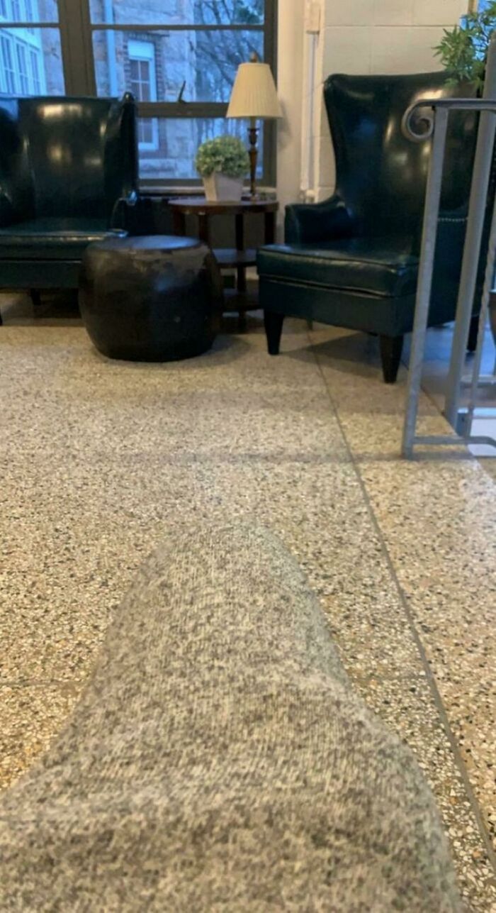 17 exemplos de camuflagem perfeita que farão qualquer ninja ficar com inveja 16