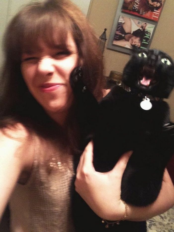 23 gatinhos sinceros que não esconder suas emoções 18