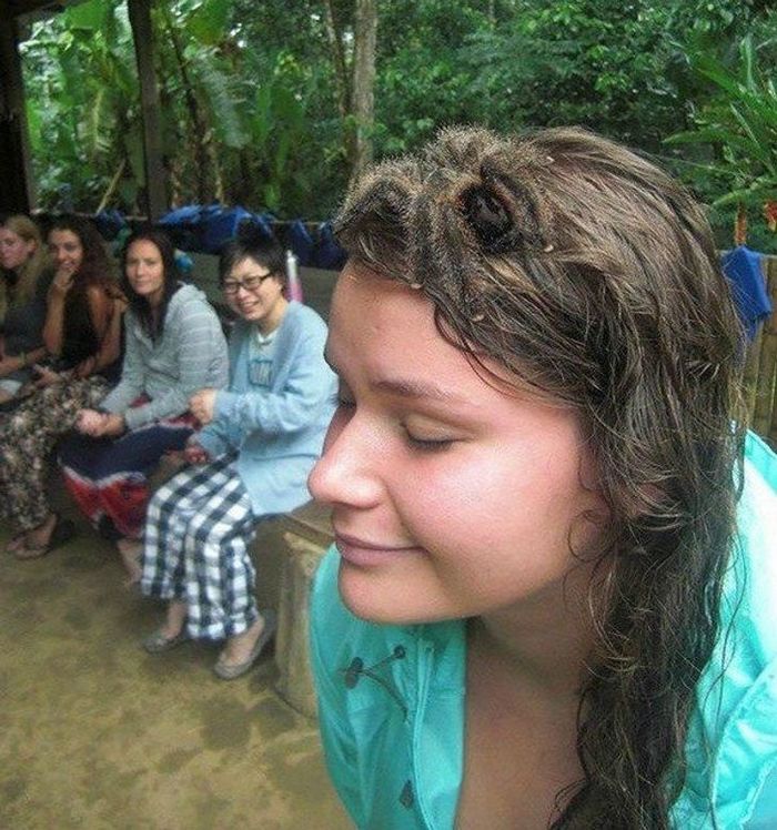 24 fotos que você precisa ver duas vezes para entender 26