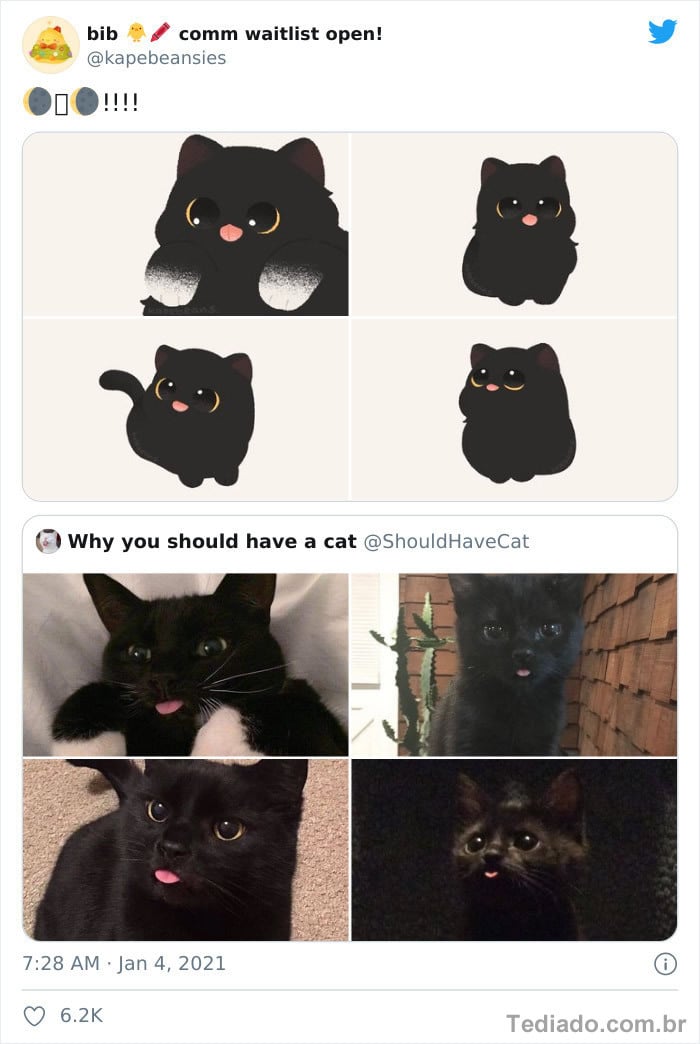 Bib transforma fotos engraçadas de animais em desenhos fofos 8