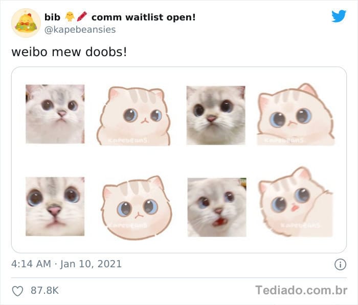 Bib transforma fotos engraçadas de animais em desenhos fofos 9