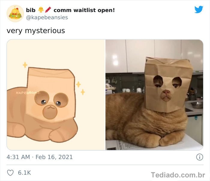 Bib transforma fotos engraçadas de animais em desenhos fofos 16