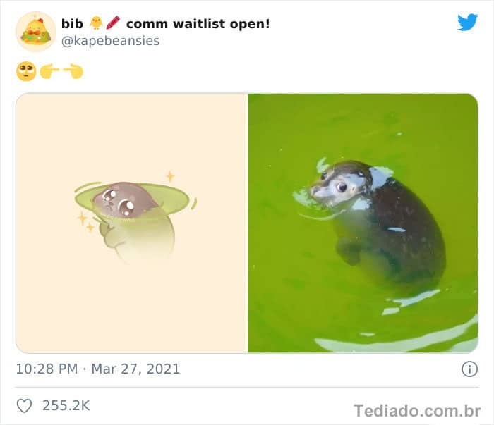 Bib transforma fotos engraçadas de animais em desenhos fofos 26