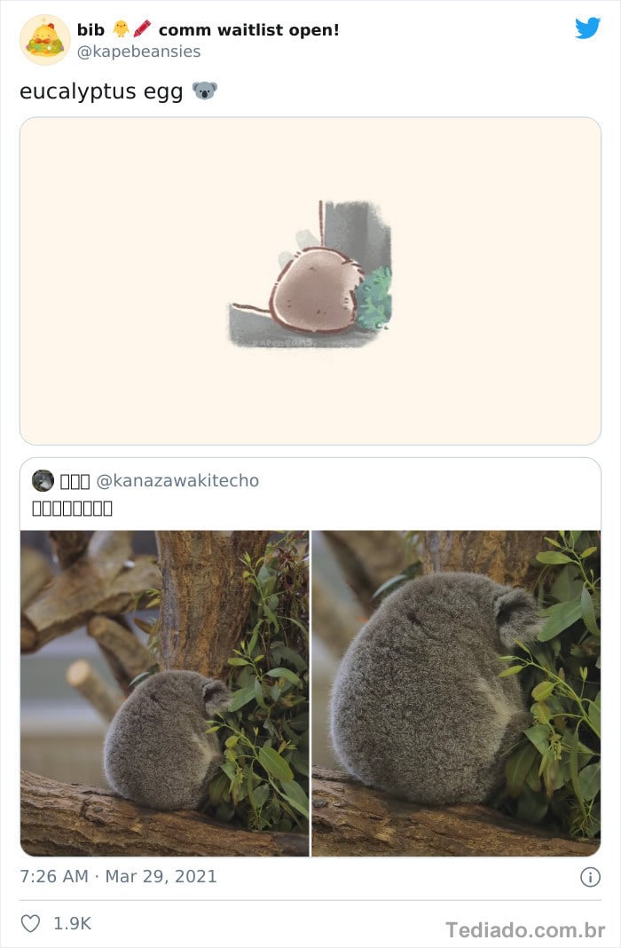 Bib transforma fotos engraçadas de animais em desenhos fofos 27